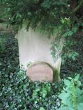 image of grave number 261635